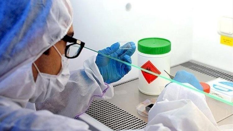    Son sutkada neçə nəfər koronaya yoluxub?   