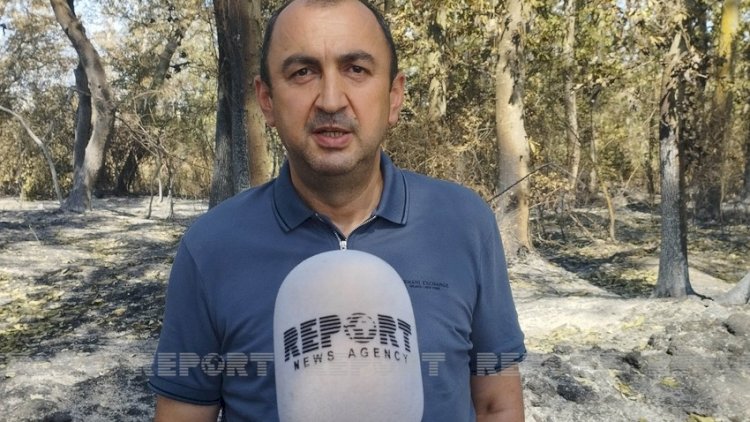    Nazir müavinindən sərt cəza tələbi: “50 il lazımdır“   