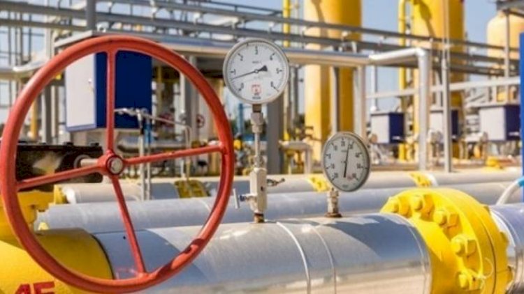   Latviya rus qazının tədarükünü qadağan etdi   