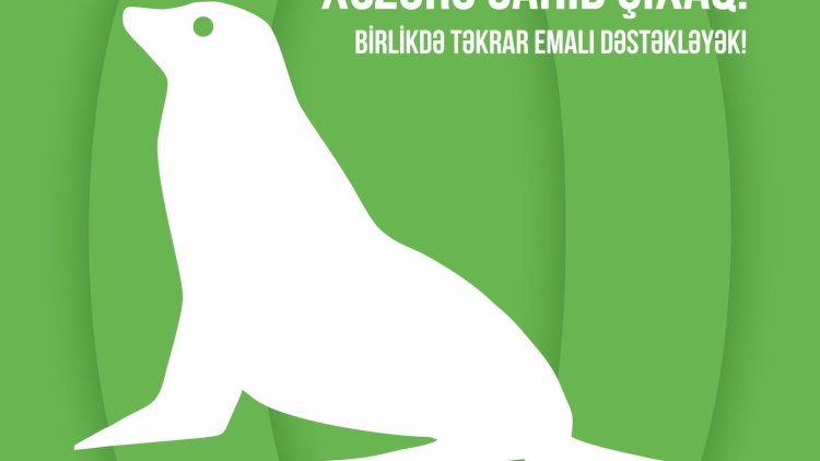    Bakı çimərliklərində “Sıfır Tullantı” layihəsi başlayır   