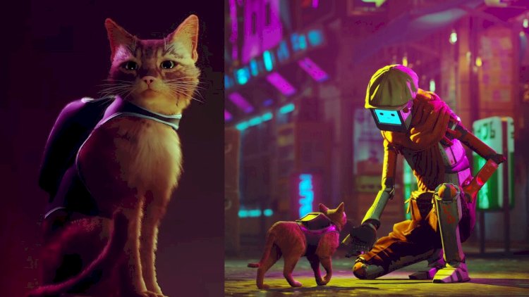    “Stray“ ən populyar video oyun seçilib   