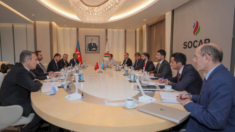    SOCAR prezidenti Türkiyənin energetika və təbii sərvətlər nazirinin müavini ilə görüşdü - Fotolar   