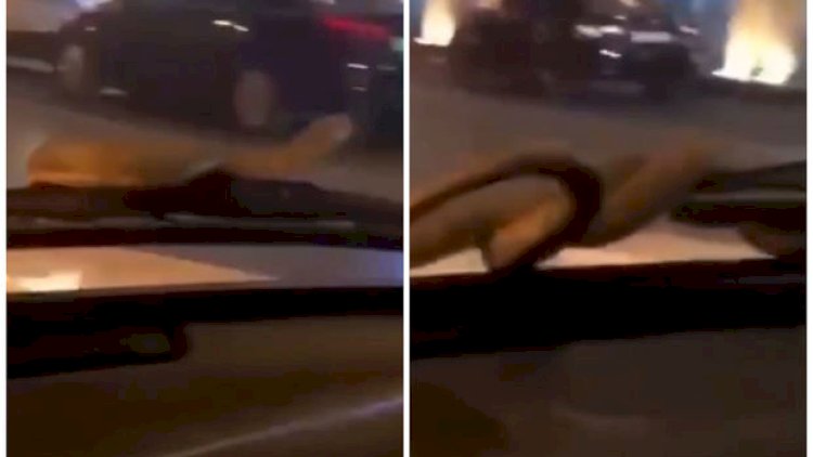    Bakıda ilan sürücüyə hücum etdi   - Şok video