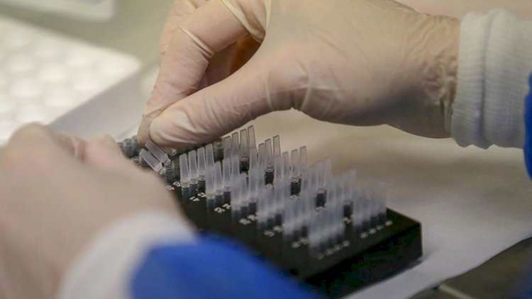    İspaniyada mənşəyi məlum olmayan virus yayıldı:   2 uşaq öldü
