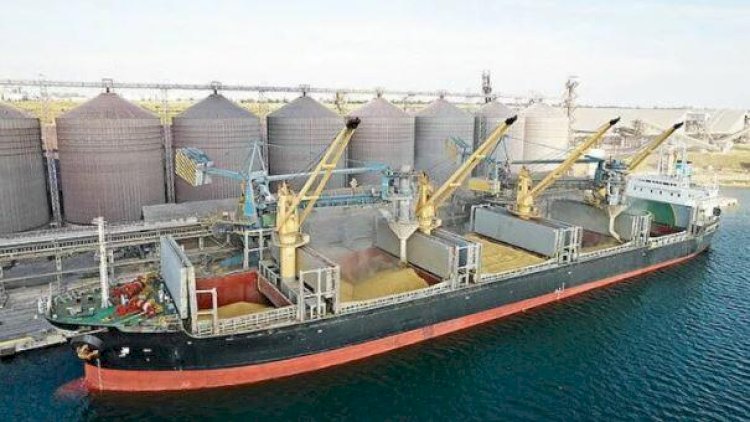    Ukraynadan qarğıdalı gətirən ilk gəmi təyinat yerinə çatdı   