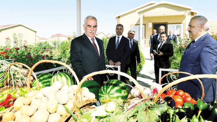    Vasif Talıbovdan unikal layihə - Fotolar   