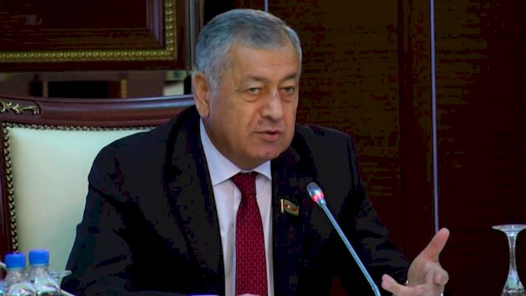    “2-3 nəfəri dəyişməklə gömrükdəki problemlər öz həllini tapmaz ki?”   
