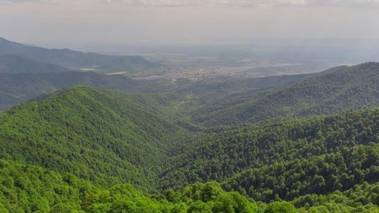    Zaqatala dağlarında daha bir turist itib: Arxasınca ayı düşüb...   