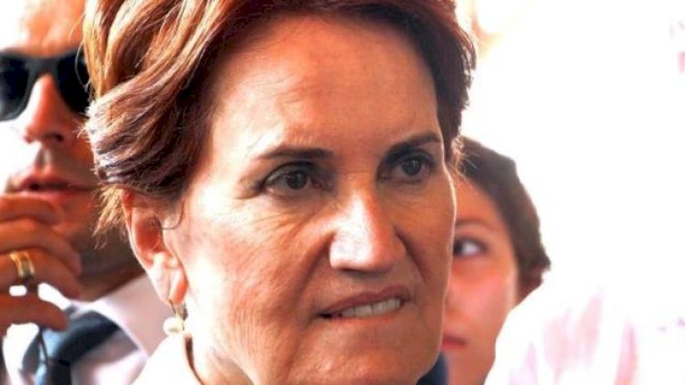    Tanınmış xanım siyasətçini it dişlədi - Foto   