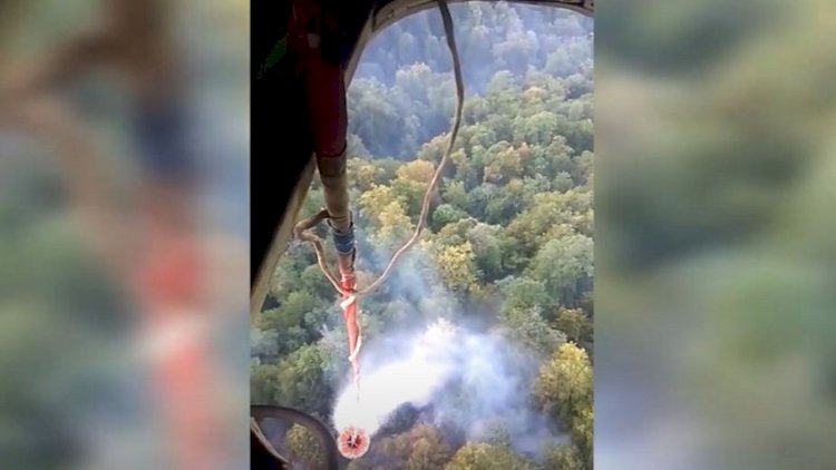    Qəbələ, Şabran, Quba və Siyəzəndə yanğınların söndürülməsi davam etdirilir   