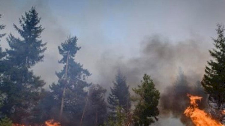    Şabrandakı yanğın “Qalaaltı” hotelin yaxınlığına çatdı   