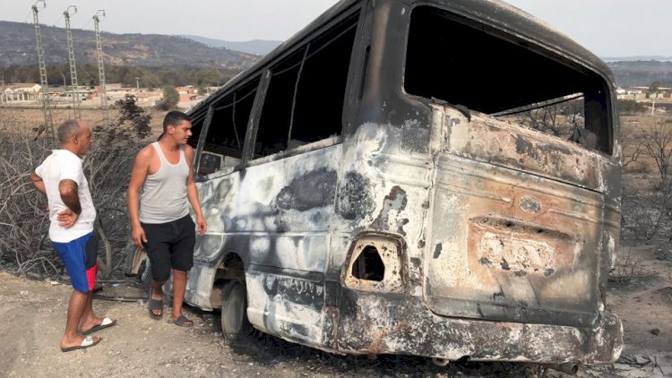    Meşə yanğınlarında 37 nəfər öldü   