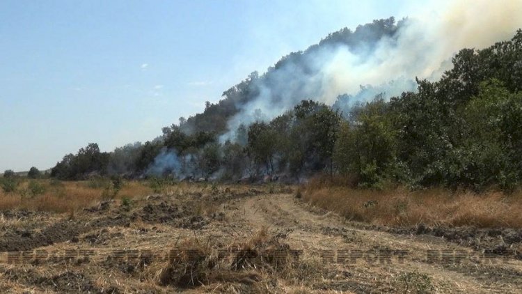    Şimal bölgəsindəki yanğınlar nəzarətə götürülüb   