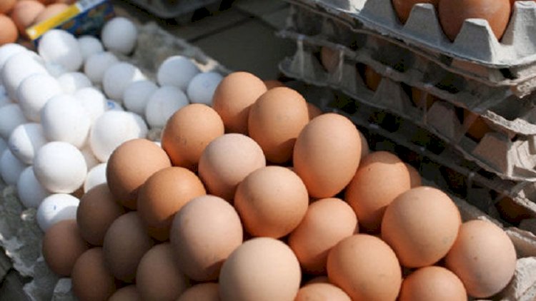    Azərbaycanda yumurtanın da qiyməti bahalaşdı   