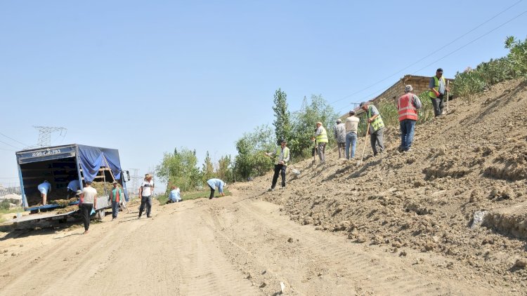    Abşeron rayonunda yeni yaşıllıq sahələri salınır   