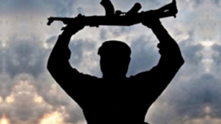    Terrorçu türk ordusuna təslim oldu   
