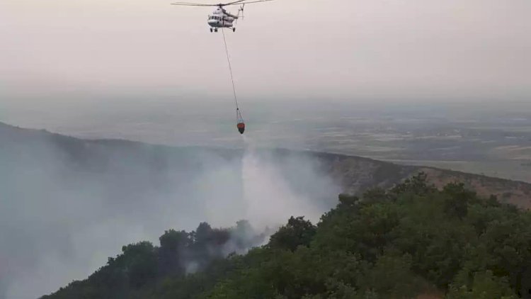    Zaqataladakı yanğın məhdudlaşdırıldı   