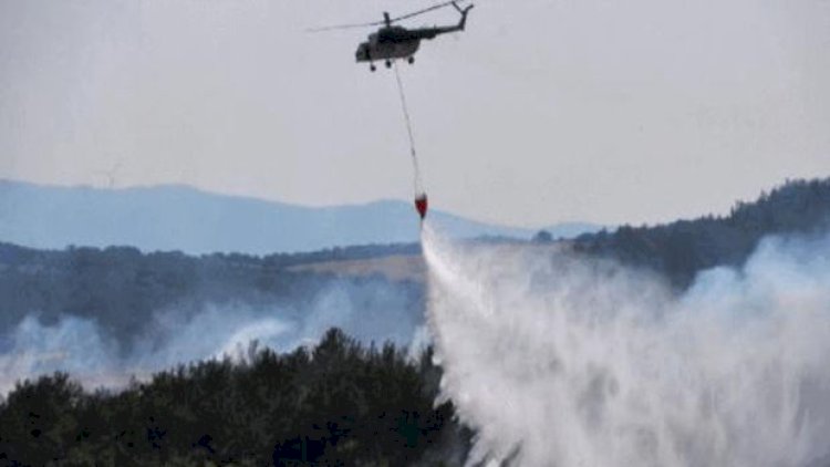    Qəbələdə dağlıq-meşəlik ərazidə yanğın başladı, helikopter cəlb olundu   