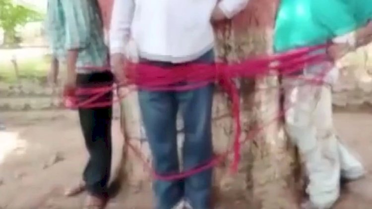    Şagirdlər müəllimləri döyüb ağaca bağladılar   - Video