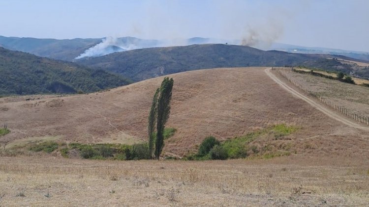    İsmayıllıda dağlıq ərazidə meşə yanır   
