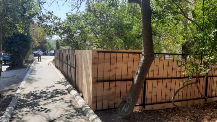    Bakıda ağacları belə “qətl etdilər”   - FOTOLAR
