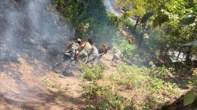    Antalyada meşədə yanğın başladı   