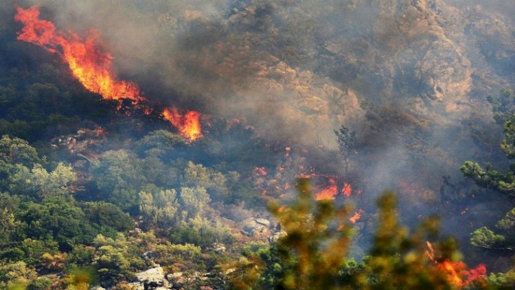    FHN İsmayıllı, Qəbələ və Oğuzdakı yanğınlarla bağlı məlumat yaydı   