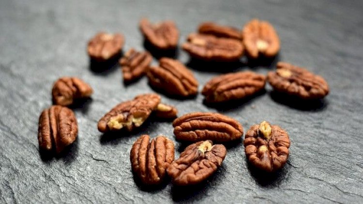    Qozla qara şokolad beyini sağaldır   