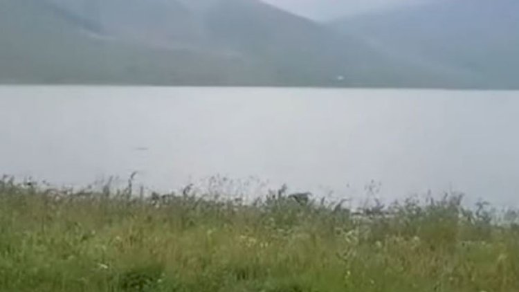    Qaragöldən yeni görüntülər - Video   