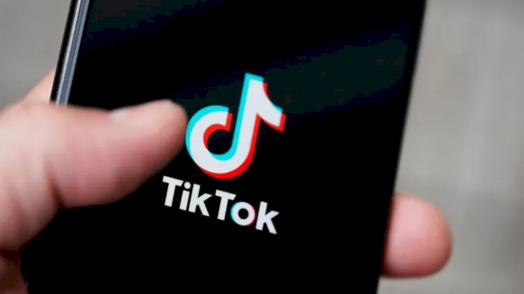    “TikTok“da polisi söyən oğlana cəza verildi   