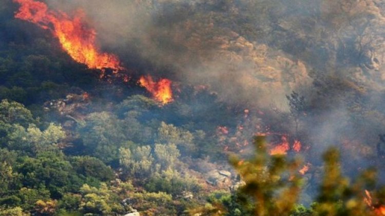    Ermənilər Qarabağda yanğın törətdilər - FOTO   