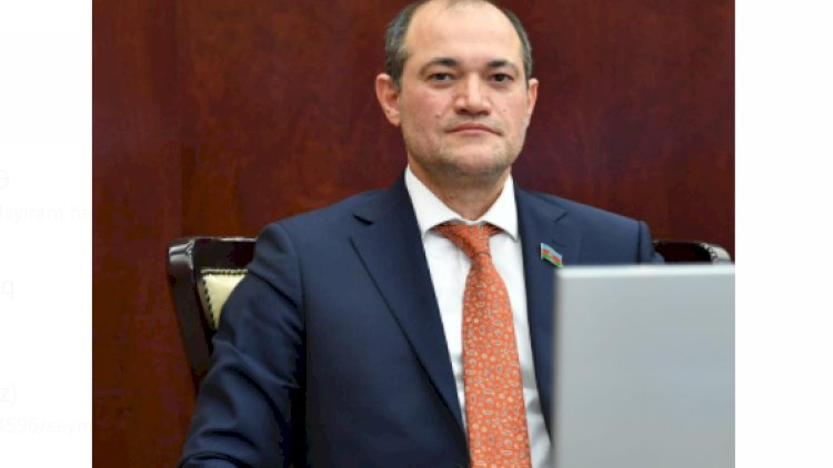    “Hicaba görə qadını döyüb öldürmək olmaz” -   Deputat