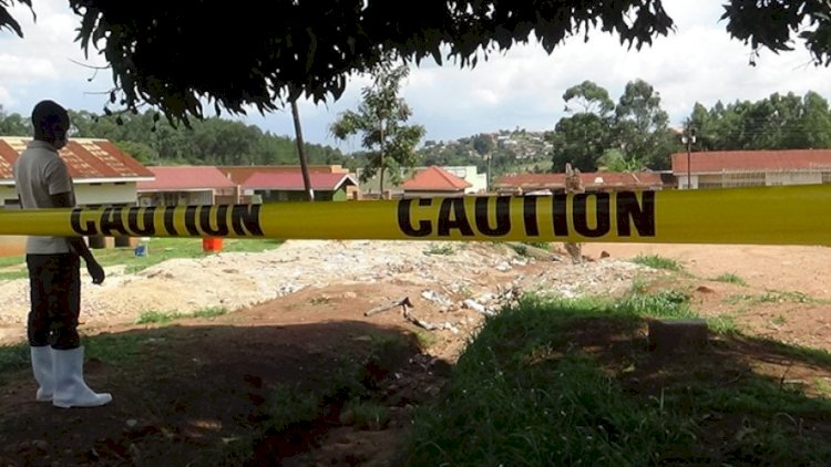    Ebola sürətlə yayılır   - 19 nəfər öldü