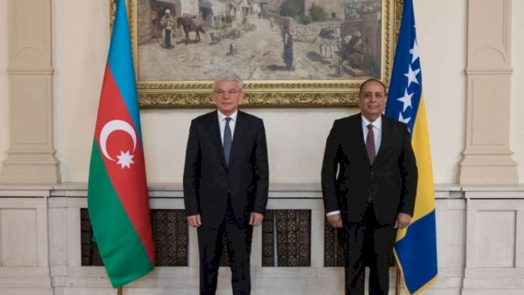    Vilayət Quliyev etimadnaməsini Prezidentə təqdim etdi   