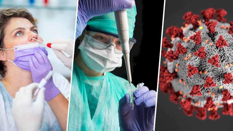    COVID-19-a yoluxanların sayı 618 milyonu keçdi   