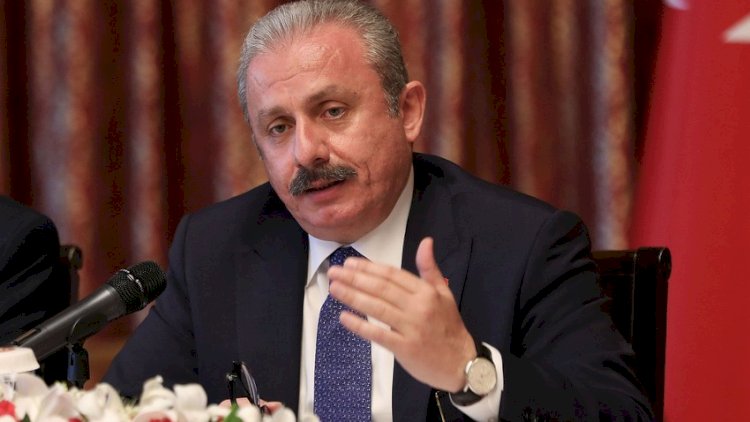    “Ermənistan sülh müqaviləsini imzalamalıdır” - TBMM sədri   