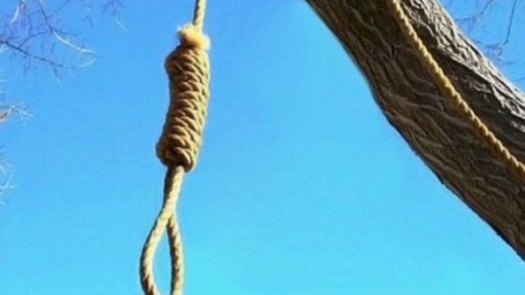   Azərbaycanda 24 yaşlı oğlan özünü ağacdan asdı   