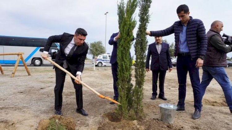    BŞİH və “Regional İnkişaf” İctimai Birliyinin birgə təşkilatçılığı ilə ağacəkmə aksiyası keçirildi - Fotolar   