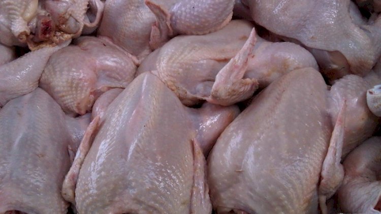    5 ölkədən quş əti gətirilməsi qadağan olundu   