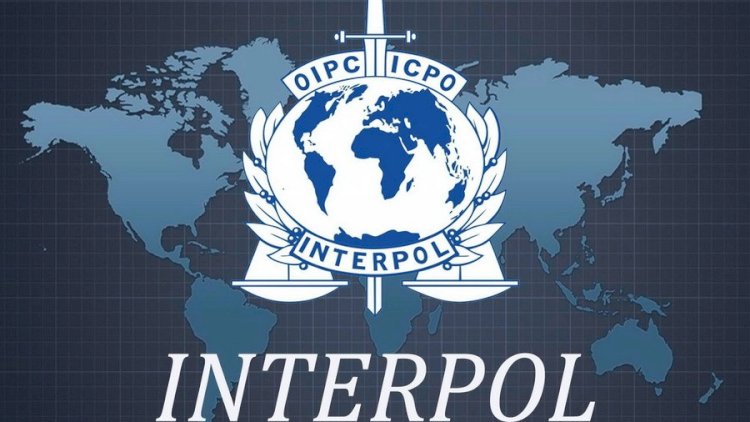    İnterpol yeni vitse-prezident seçdi   