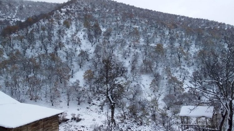    Azərbaycanda 3 sm qar yağdı: Faktiki hava   