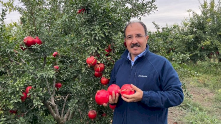    Türkiyəli diplomat Azərbaycan narından yazdı   