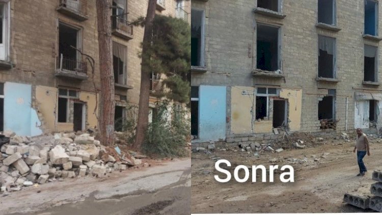    Ağacları kəsən MMC-nin işi prokurorluğa göndərildi    