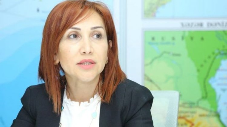    Bu payız ölkədə 113 000 ağac əkilib   