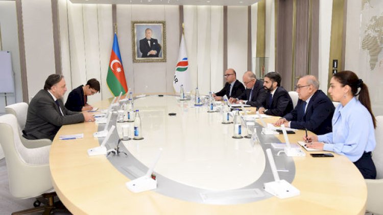    Rövşən Nəcəf Çex Respublikasının ölkəmizdəki səfiri ilə görüşdü   