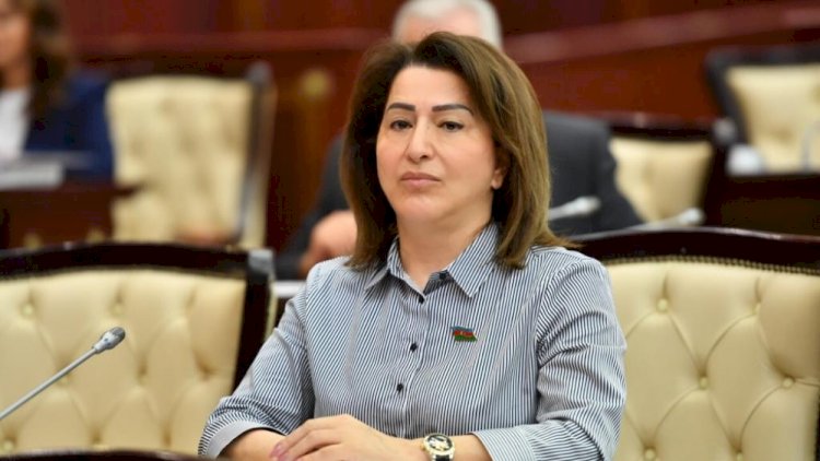    “Uşaqların cinsi istismar təhlükəsi var” - Deputat   