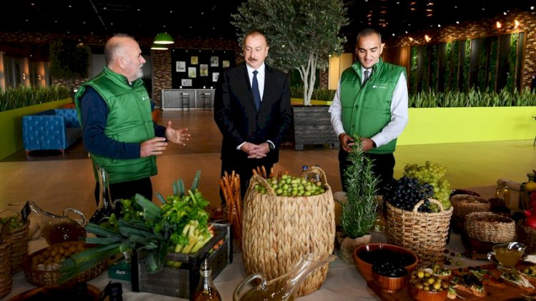    Prezident Zirədə zeytun emalı zavodunun açılışında iştirak etdi - Yenilənib + Fotolar   
