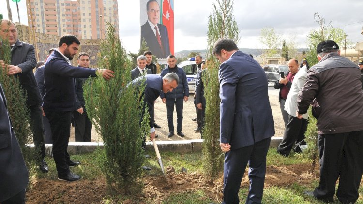    Abşeron rayonunda ağacəkmə aksiyası keçirildi   