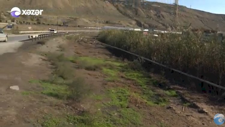    Rəşad Dağlı qonşusunu bu yerdə bıçaqlayıb - Video   