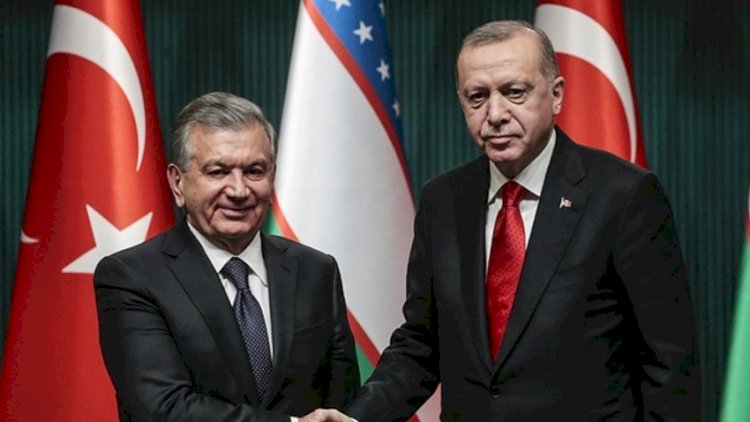    Türkiyə və Özbəkistan prezidentləri görüşdü   
